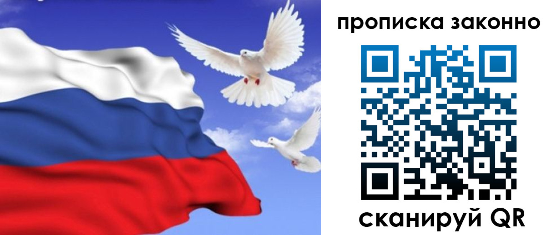 прописка в Завитинске