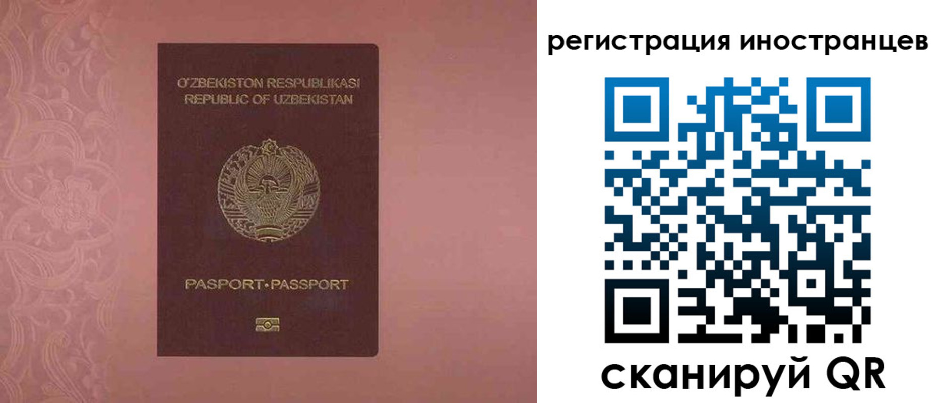 временная регистрация госуслуги в Завитинске